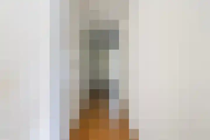 van Wyckelstrjitte 44 Stiens thumbnail 8