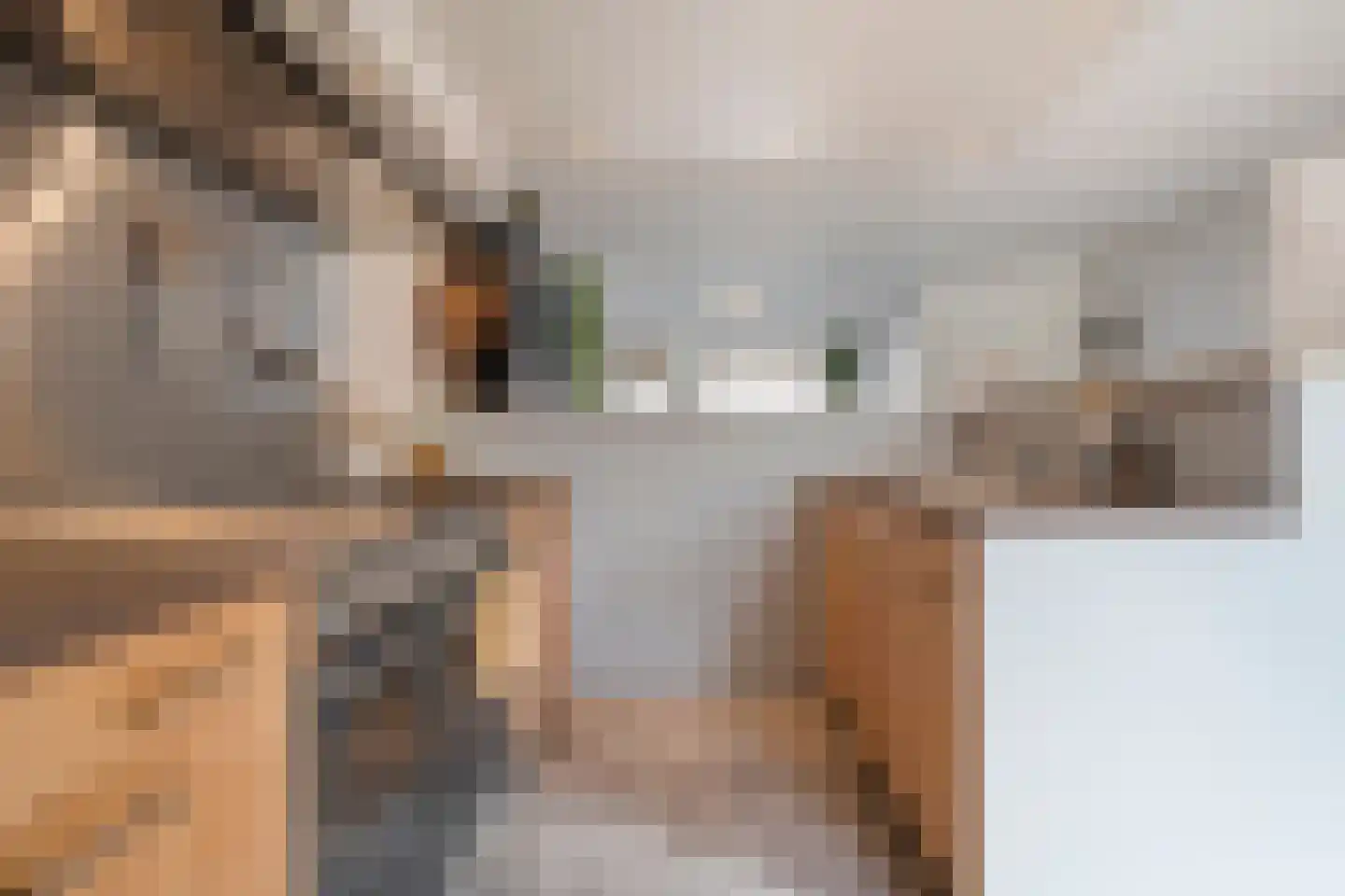 Van Yrtebelt 20 Zwolle thumbnail 13