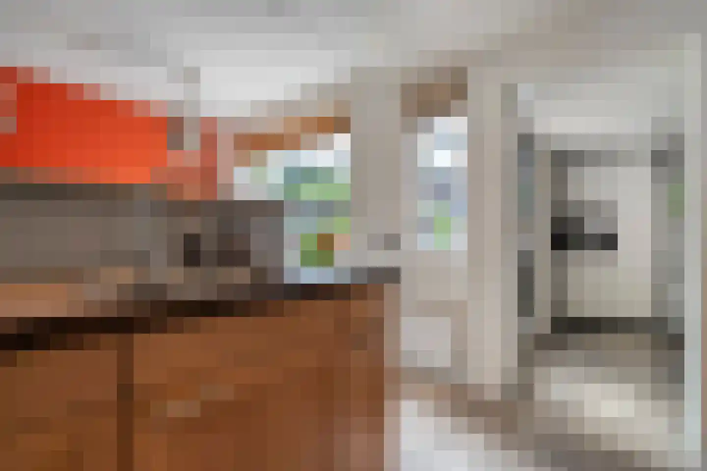 Van Yrtebelt 20 Zwolle thumbnail 14