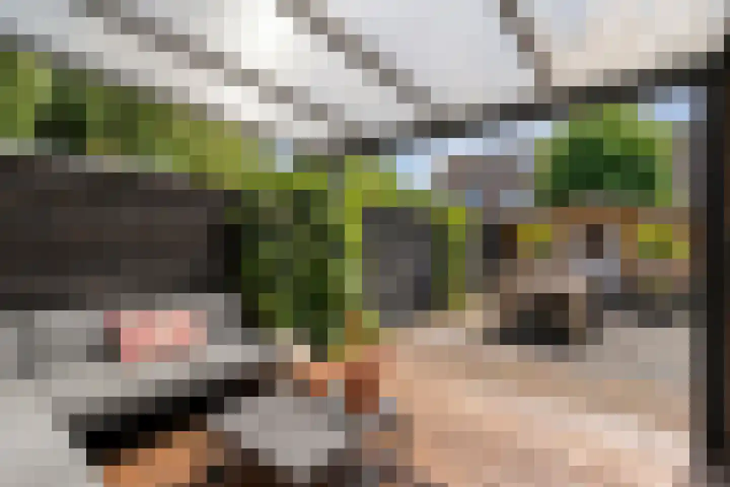 Van Yrtebelt 20 Zwolle thumbnail 32