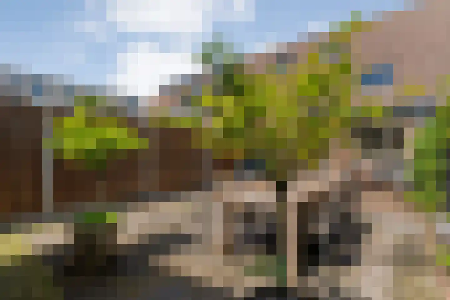 Van Yrtebelt 20 Zwolle thumbnail 33