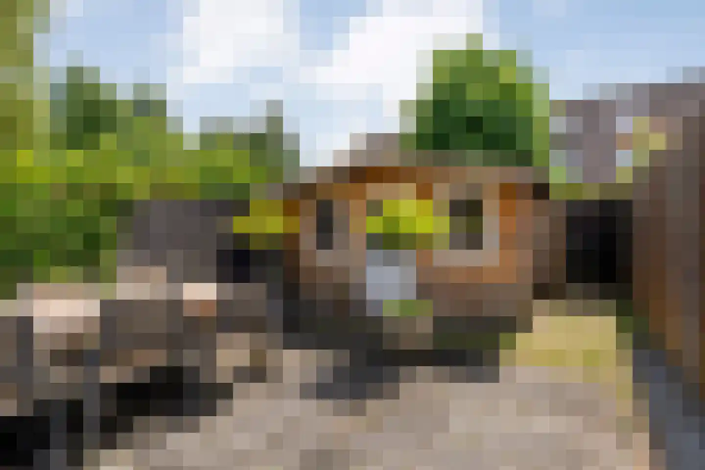 Van Yrtebelt 20 Zwolle thumbnail 34