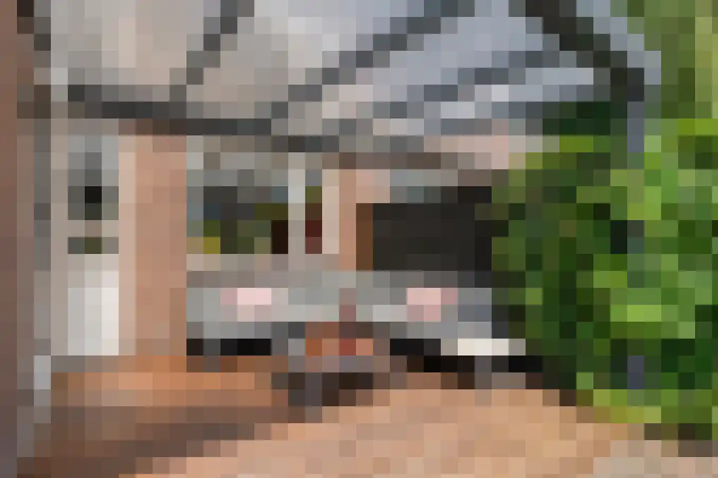 Van Yrtebelt 20 Zwolle thumbnail 38