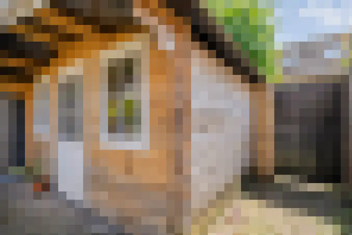 Van Yrtebelt 20 Zwolle thumbnail 40