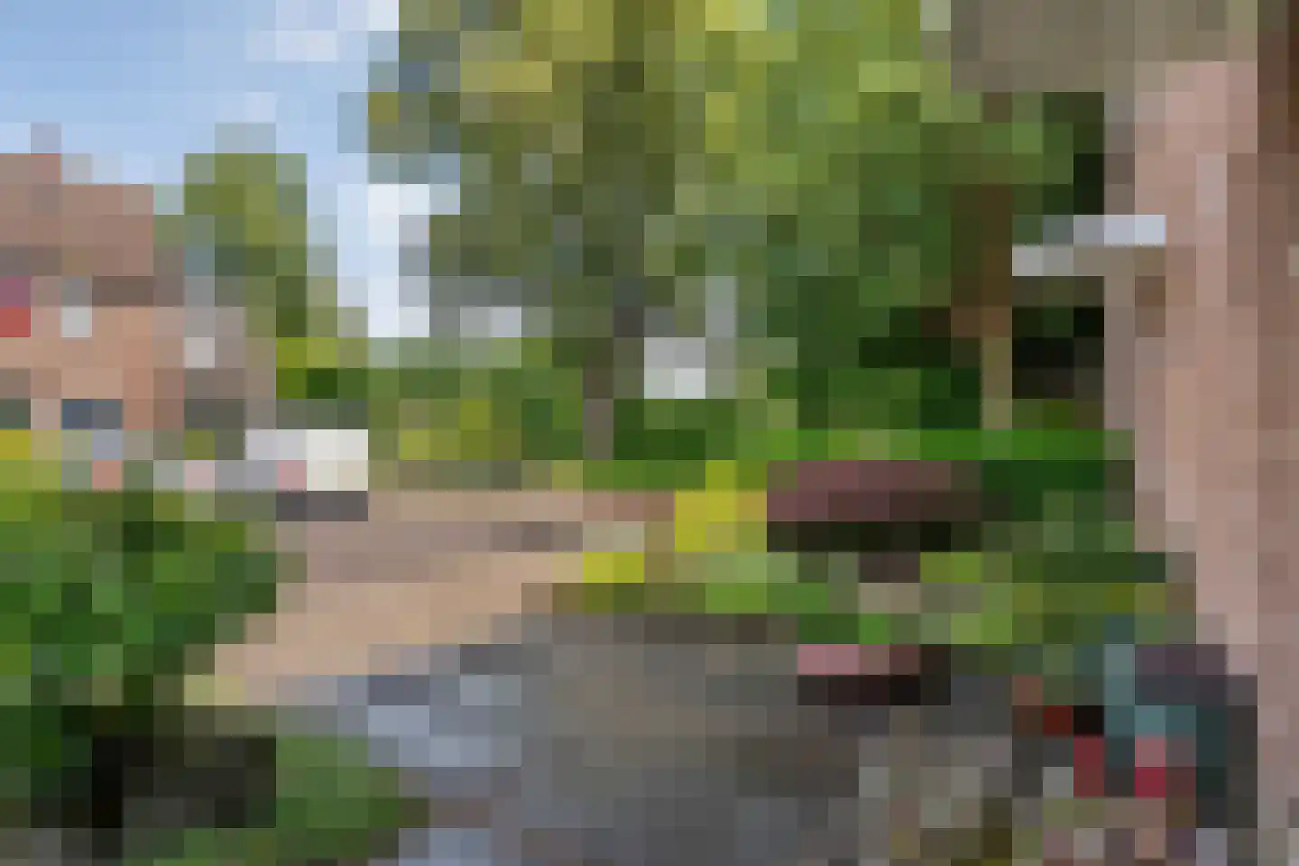 Van Yrtebelt 20 Zwolle thumbnail 42