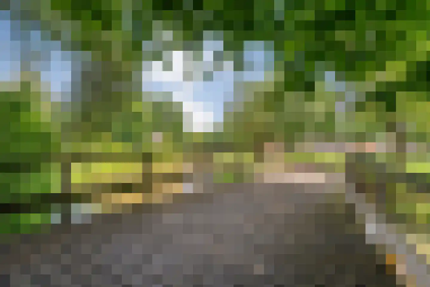 Van Yrtebelt 20 Zwolle thumbnail 44
