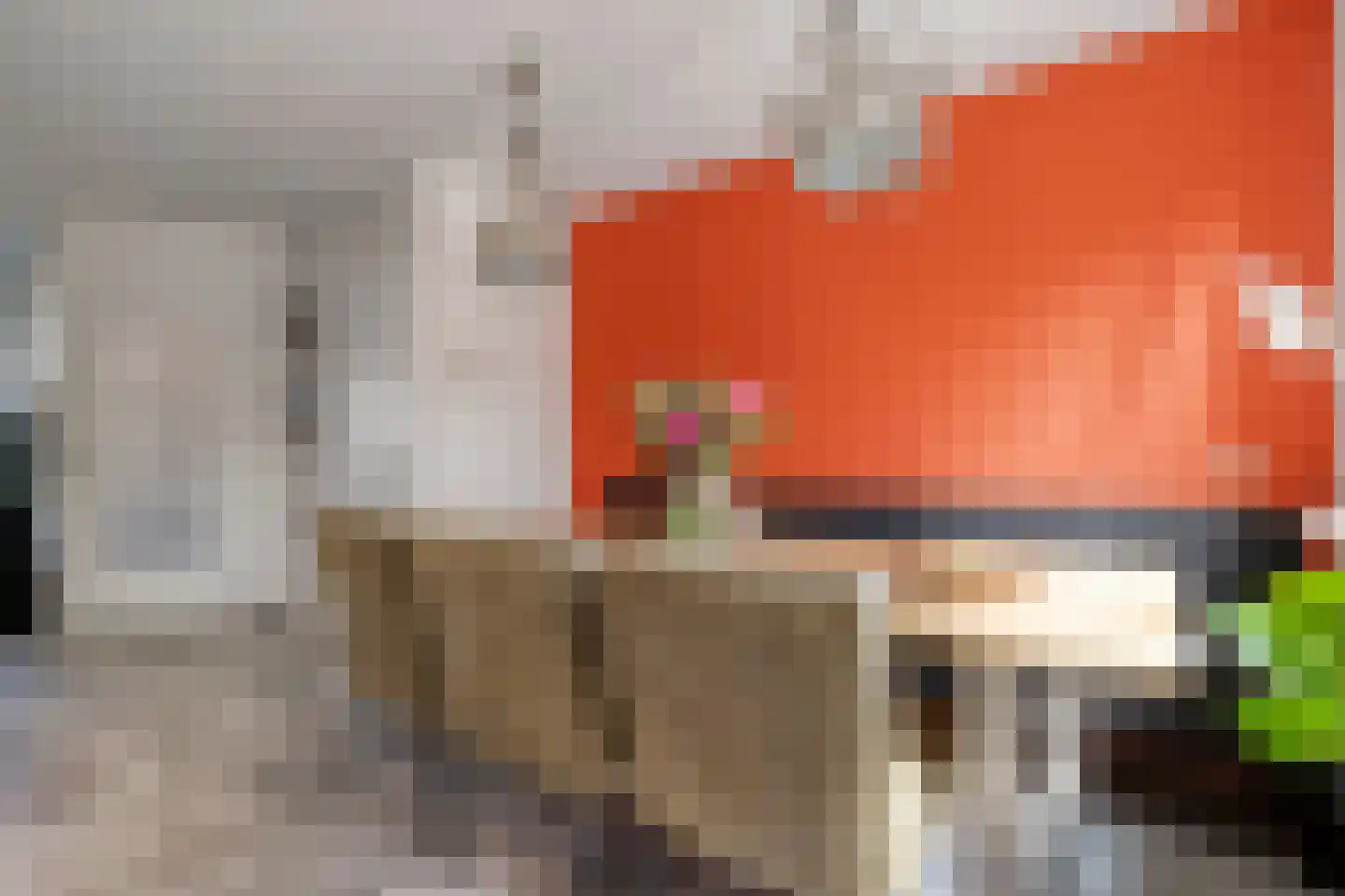 Van Yrtebelt 20 Zwolle thumbnail 8
