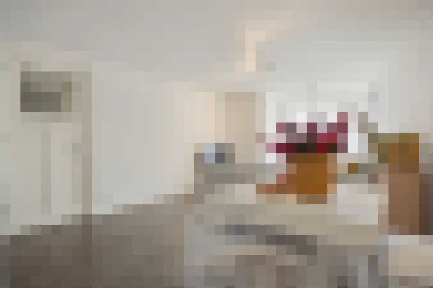 Van Ysselsteinstraat 1 A 's-Hertogenbosch thumbnail 17