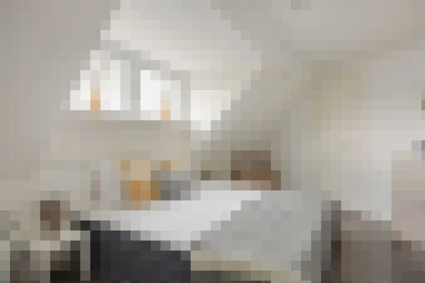 Van Ysselsteinstraat 1 A 's-Hertogenbosch thumbnail 18