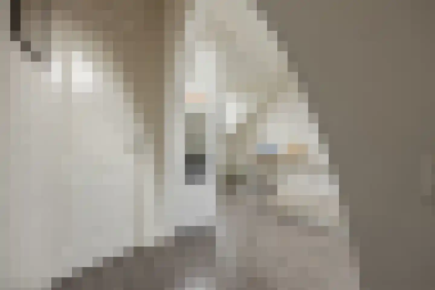 Van Ysselsteinstraat 1 A 's-Hertogenbosch thumbnail 23