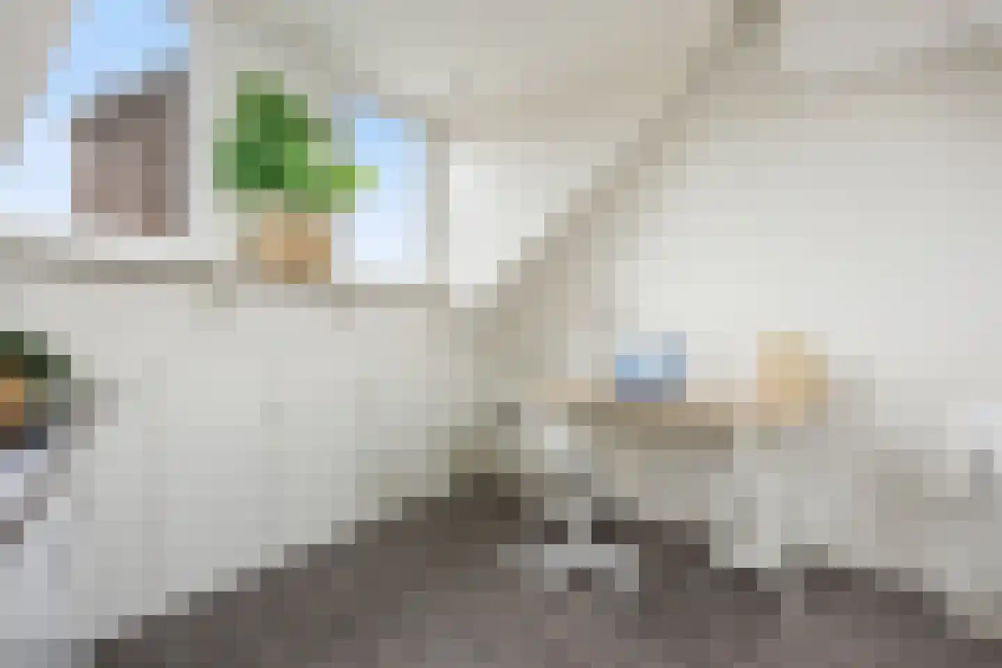 Van Ysselsteinstraat 1 A 's-Hertogenbosch thumbnail 28