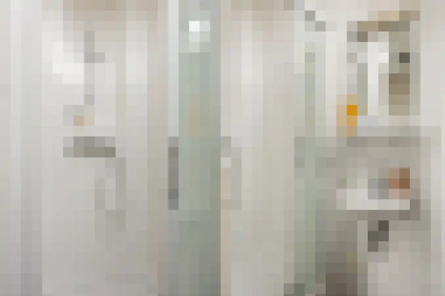 Van Ysselsteinstraat 1 A 's-Hertogenbosch thumbnail 31