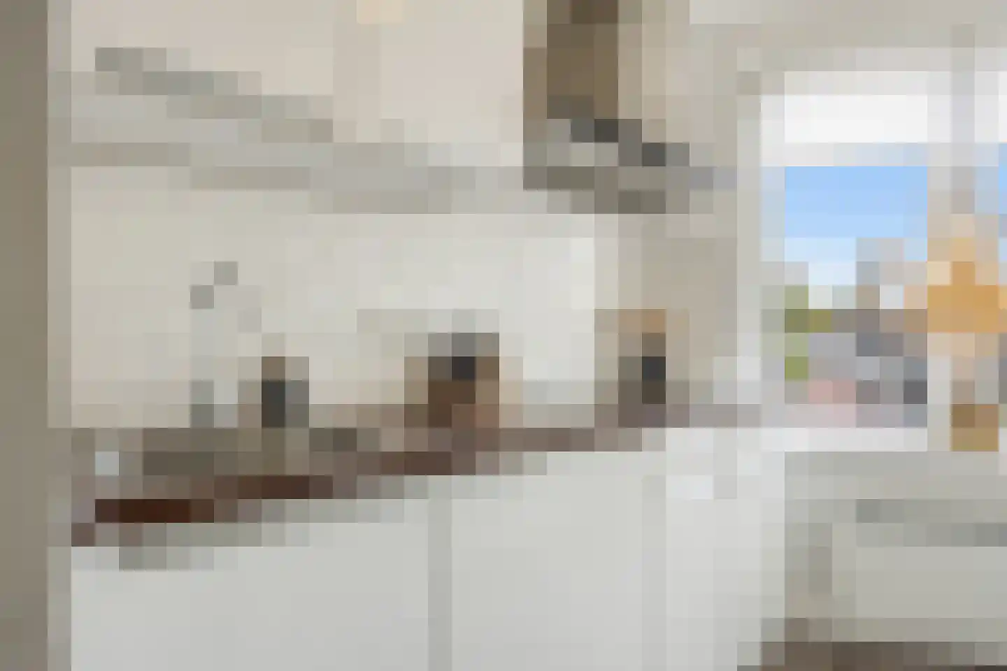 Van Ysselsteinstraat 1 A 's-Hertogenbosch thumbnail 9