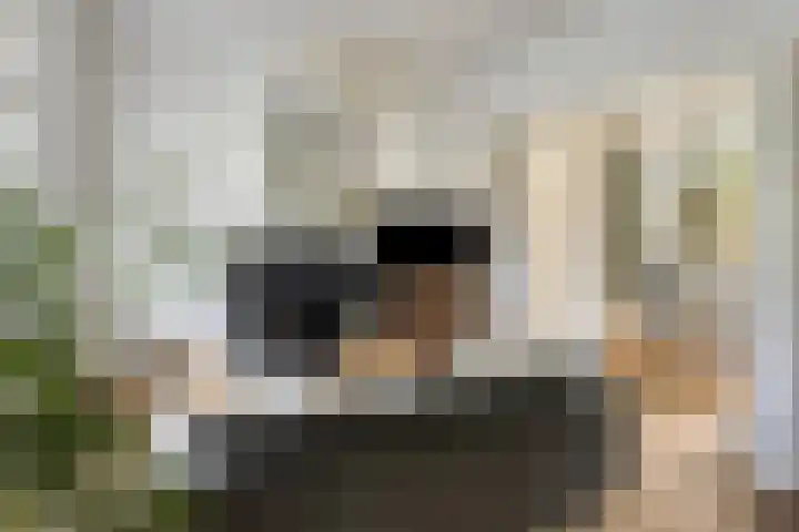 Van Ysselsteinstraat 3 's-Hertogenbosch thumbnail 13