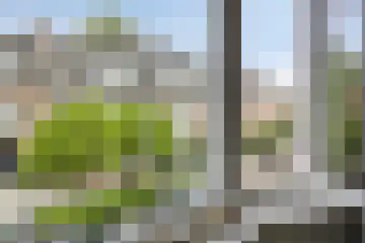 Van Ysselsteinstraat 3 's-Hertogenbosch thumbnail 15