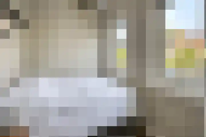 Van Ysselsteinstraat 3 's-Hertogenbosch thumbnail 16