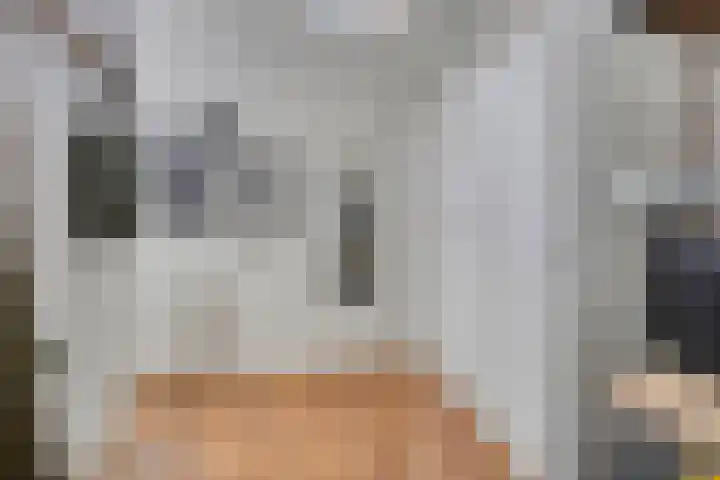 Van Ysselsteinstraat 3 's-Hertogenbosch thumbnail 17