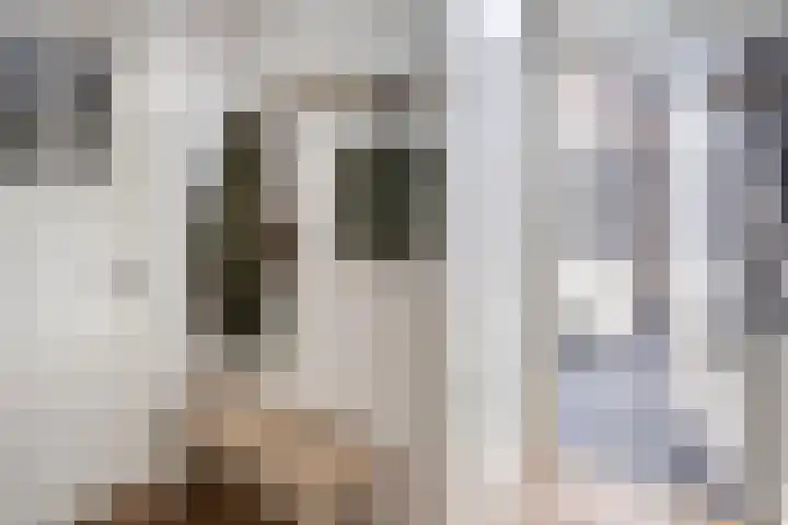 Van Ysselsteinstraat 3 's-Hertogenbosch thumbnail 18