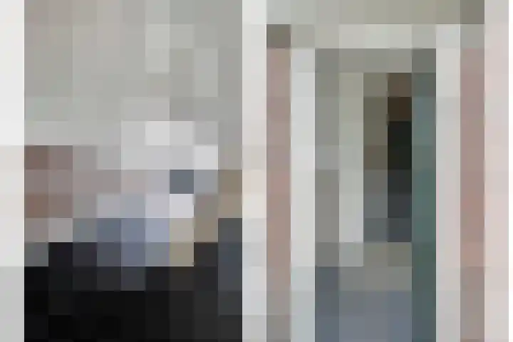 Van Ysselsteinstraat 3 's-Hertogenbosch thumbnail 20