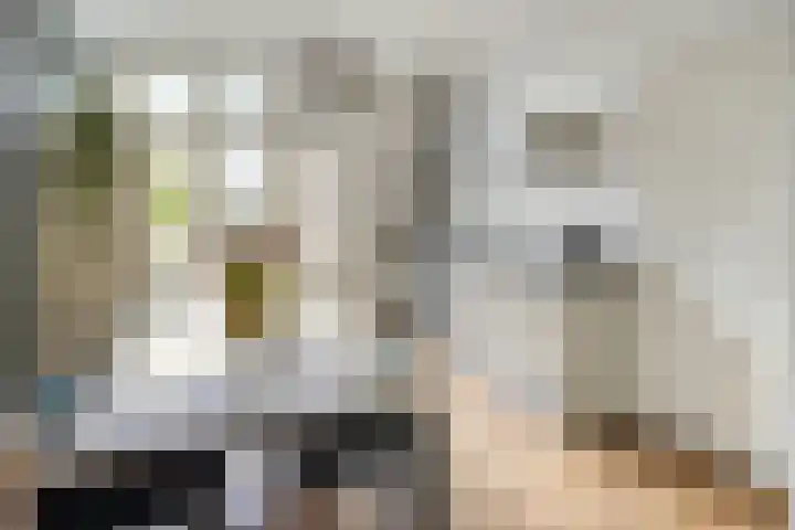 Van Ysselsteinstraat 3 's-Hertogenbosch thumbnail 6
