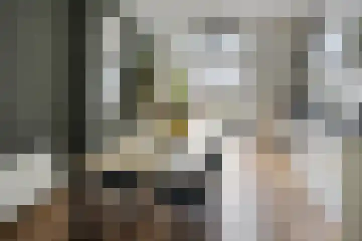 Van Ysselsteinstraat 3 's-Hertogenbosch thumbnail 7