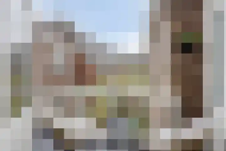 Van Ysselsteinstraat 3 's-Hertogenbosch thumbnail 8