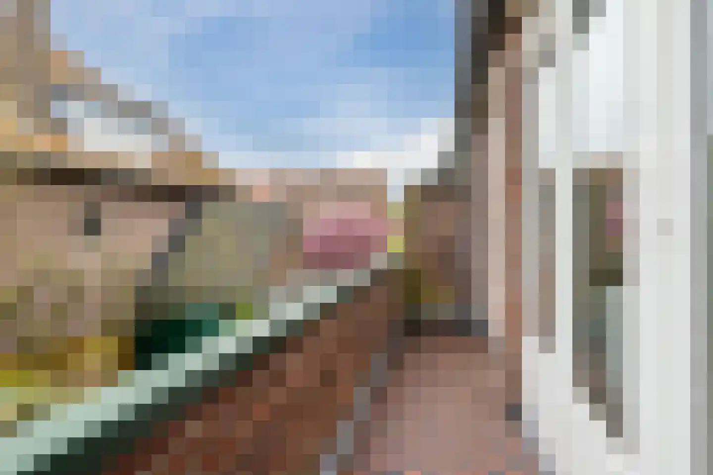 Van Zaeckstraat 51 Den Haag thumbnail 34