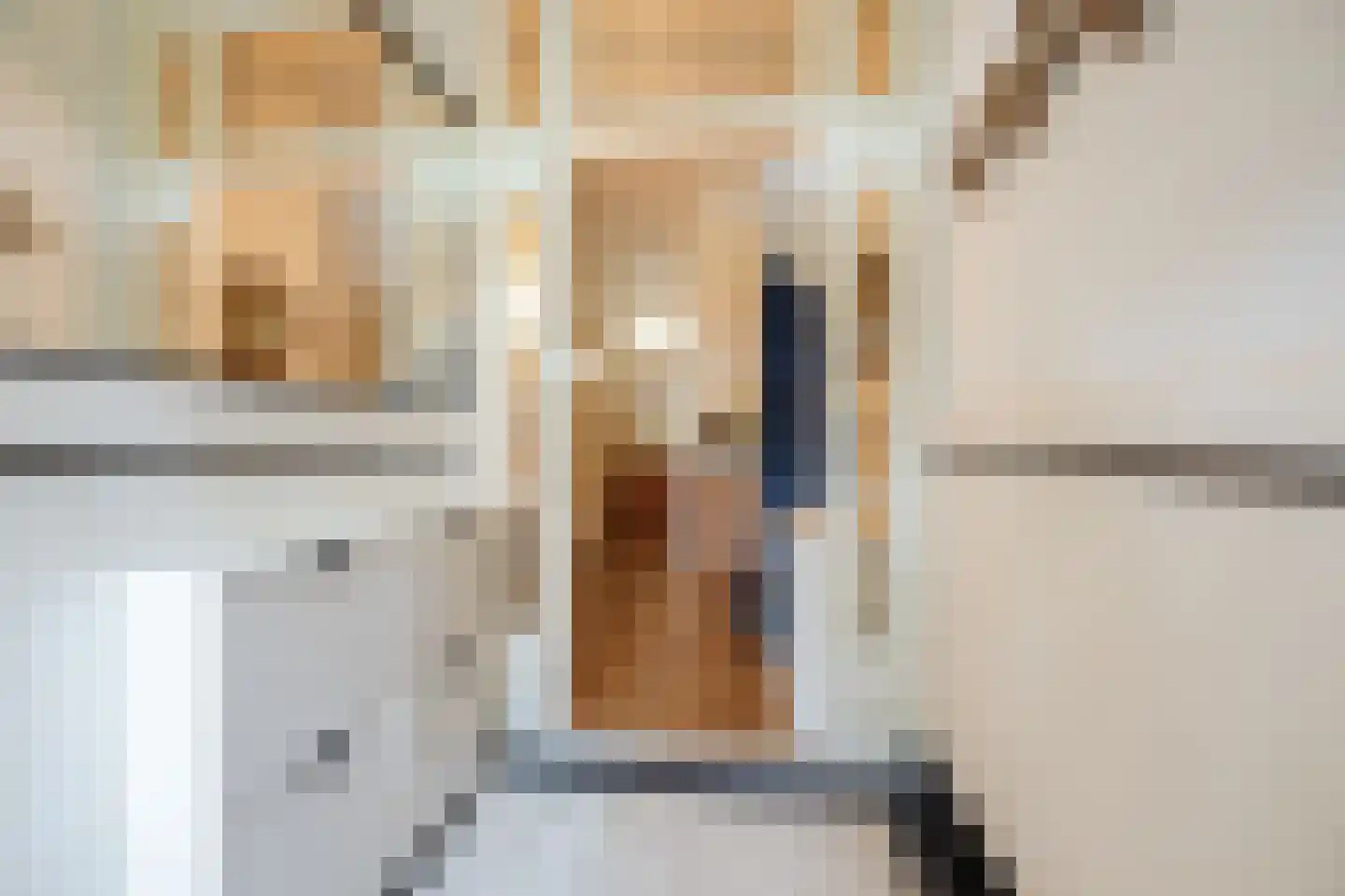 Van Zaeckstraat 51 Den Haag thumbnail 7