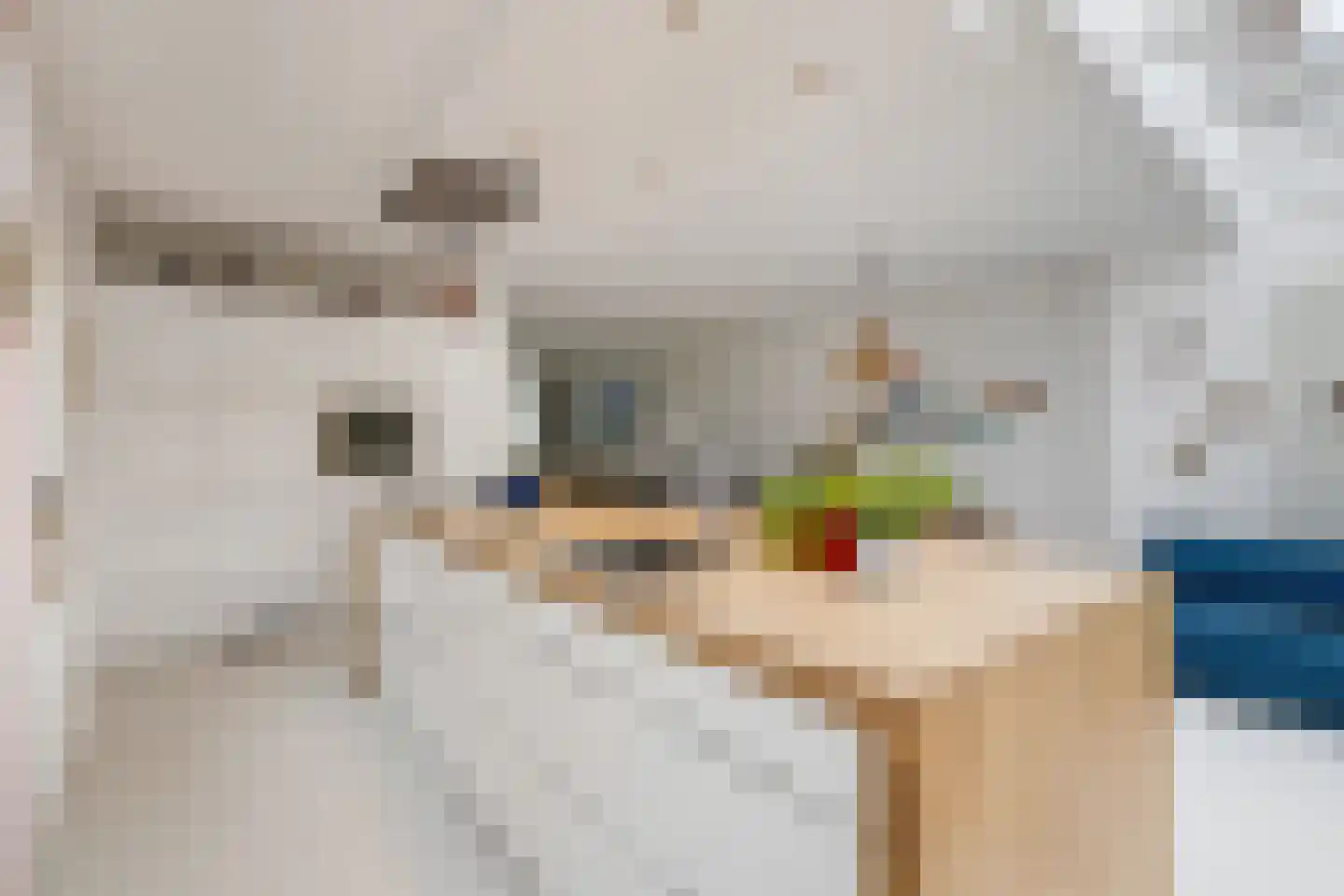 Van Zeggelaarstraat 11 Amsterdam thumbnail 15