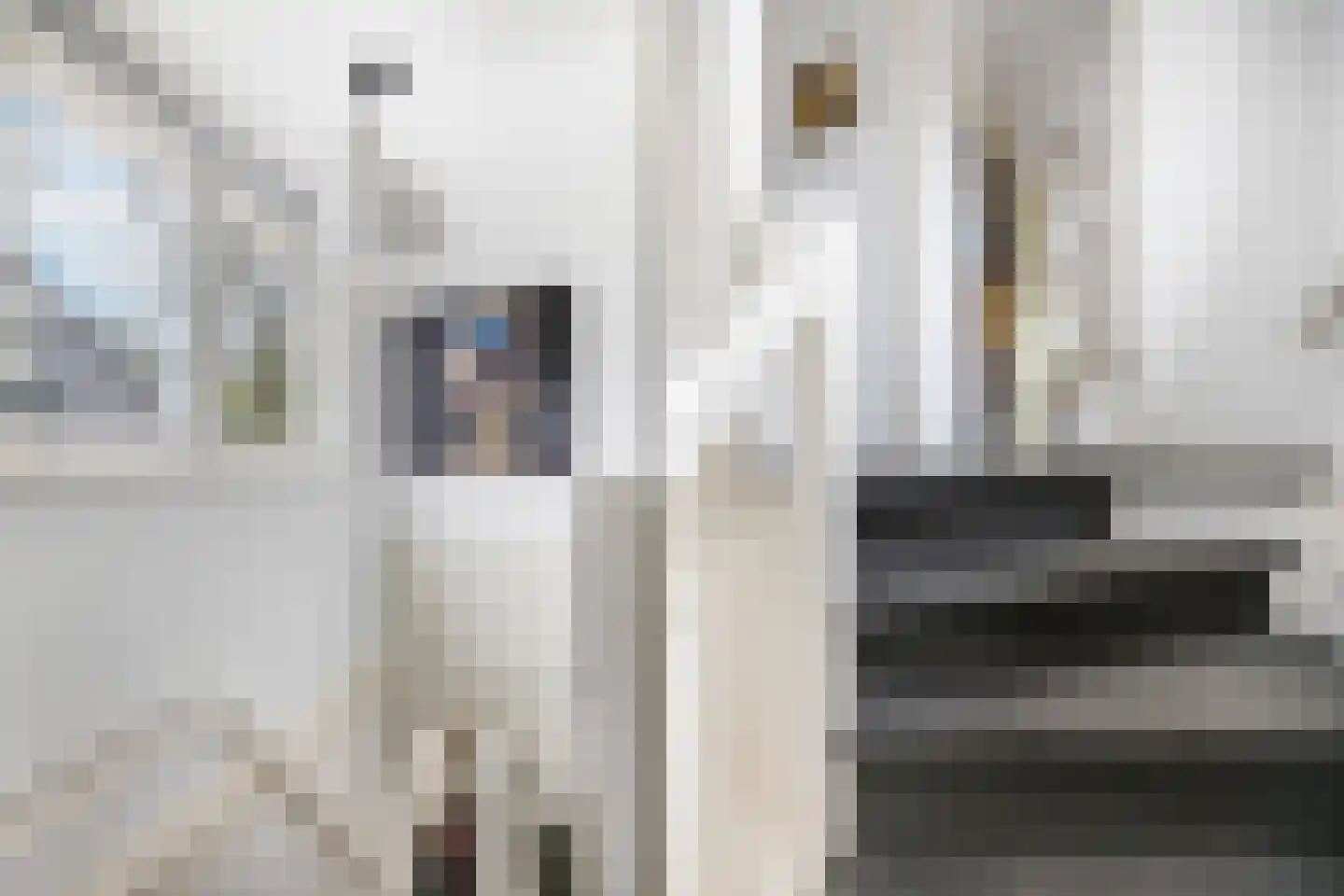 Van Zeggelaarstraat 11 Amsterdam thumbnail 35