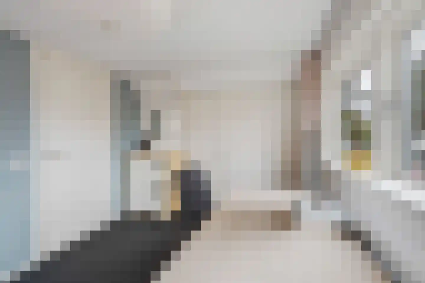 Van Zeggelaarstraat 11 Amsterdam thumbnail 47
