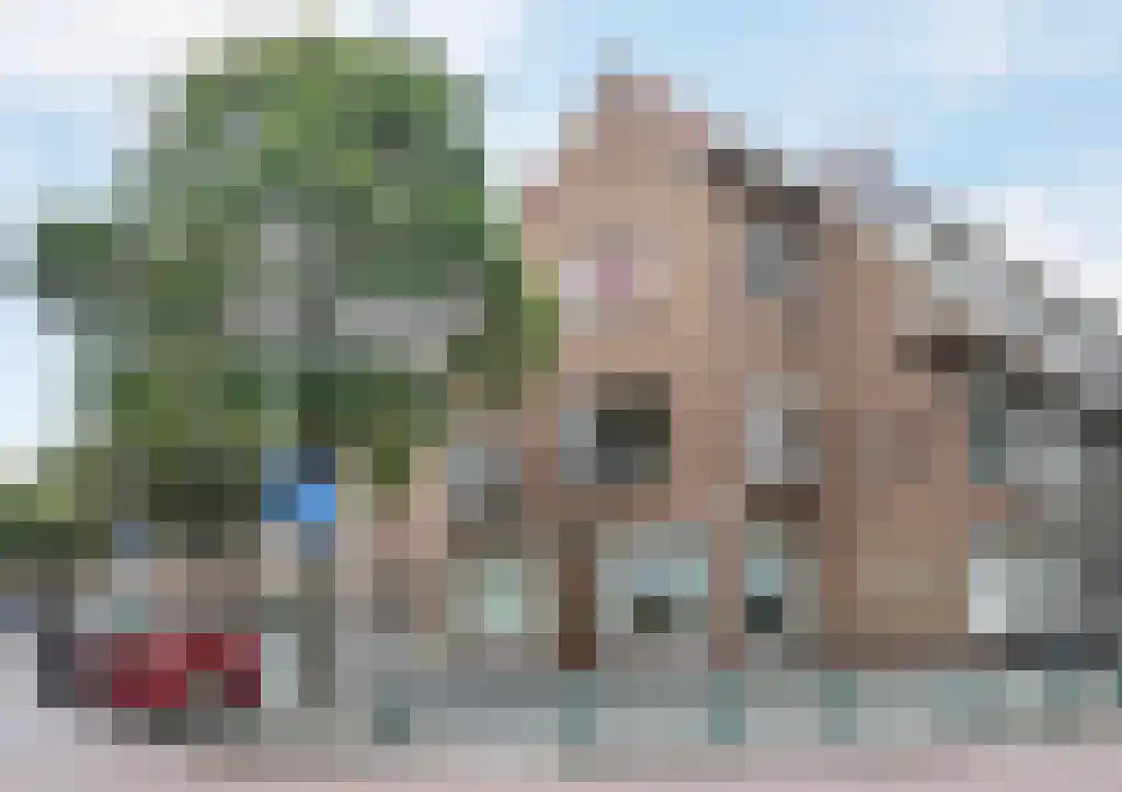 Van Zeggelenlaan 1 in Den Haag
