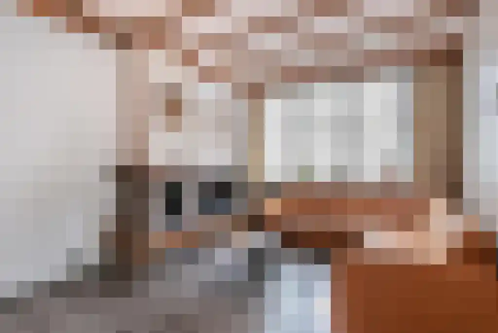 Van Zeggelenlaan 1 Den Haag thumbnail 4