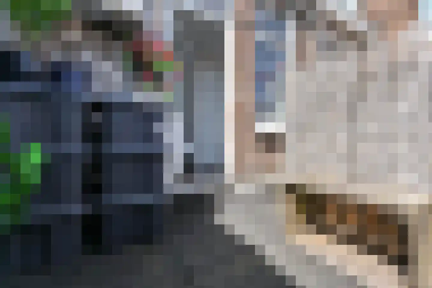 Van Zeggelenlaan 10 Den Haag thumbnail 20