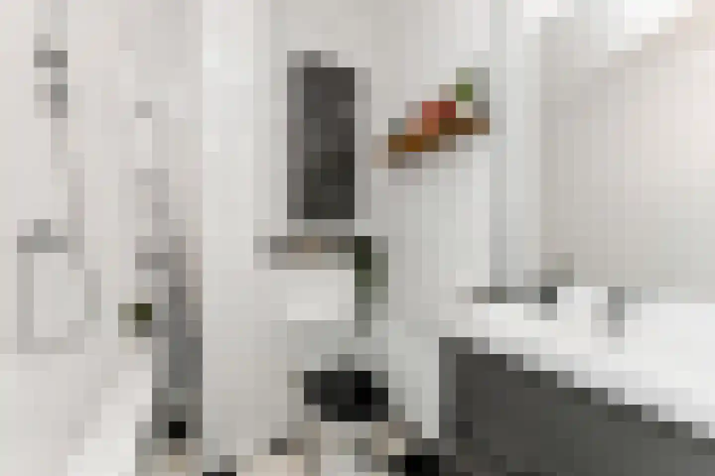 Van Zeggelenlaan 10 Den Haag thumbnail 25
