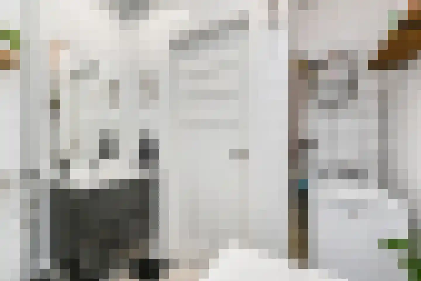 Van Zeggelenlaan 10 Den Haag thumbnail 26