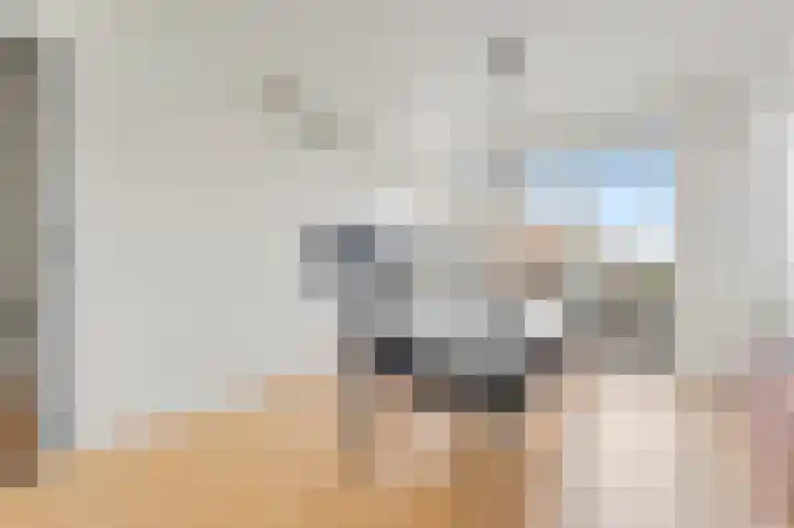 Van Zeggelenlaan 108 Den Haag thumbnail 5