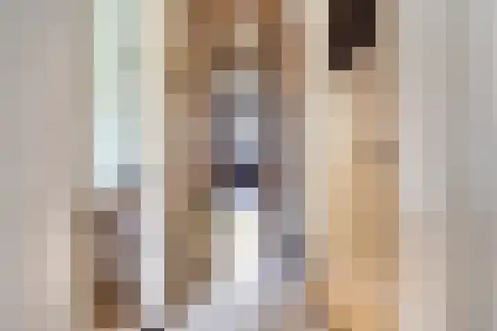 Van Zeggelenlaan 157 Den Haag thumbnail 12