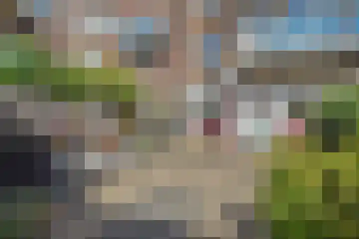 Van Zeggelenlaan 157 Den Haag thumbnail 20