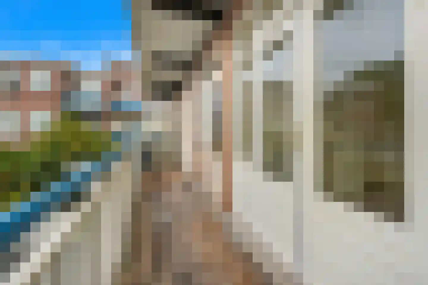 Van Zeggelenlaan 263 Den Haag thumbnail 19