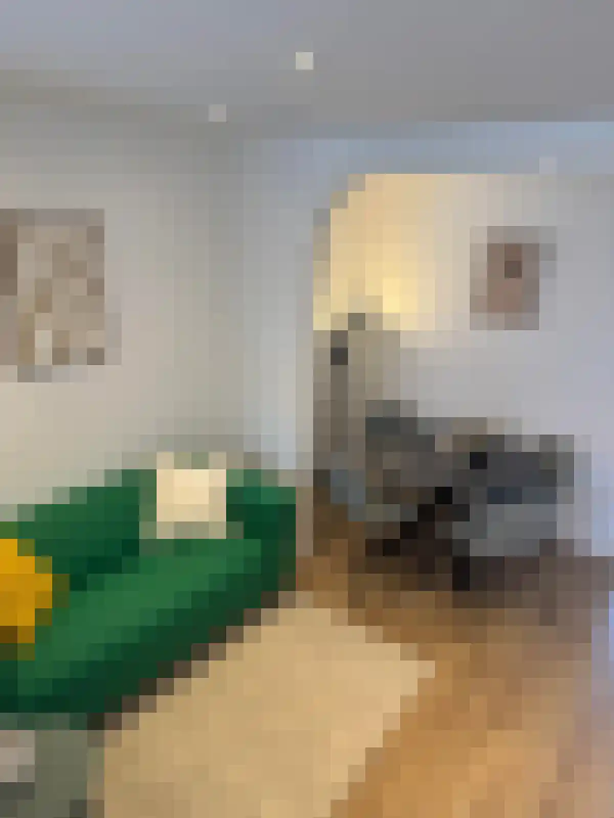 Van Zeggelenlaan 281 2 Den Haag thumbnail 4