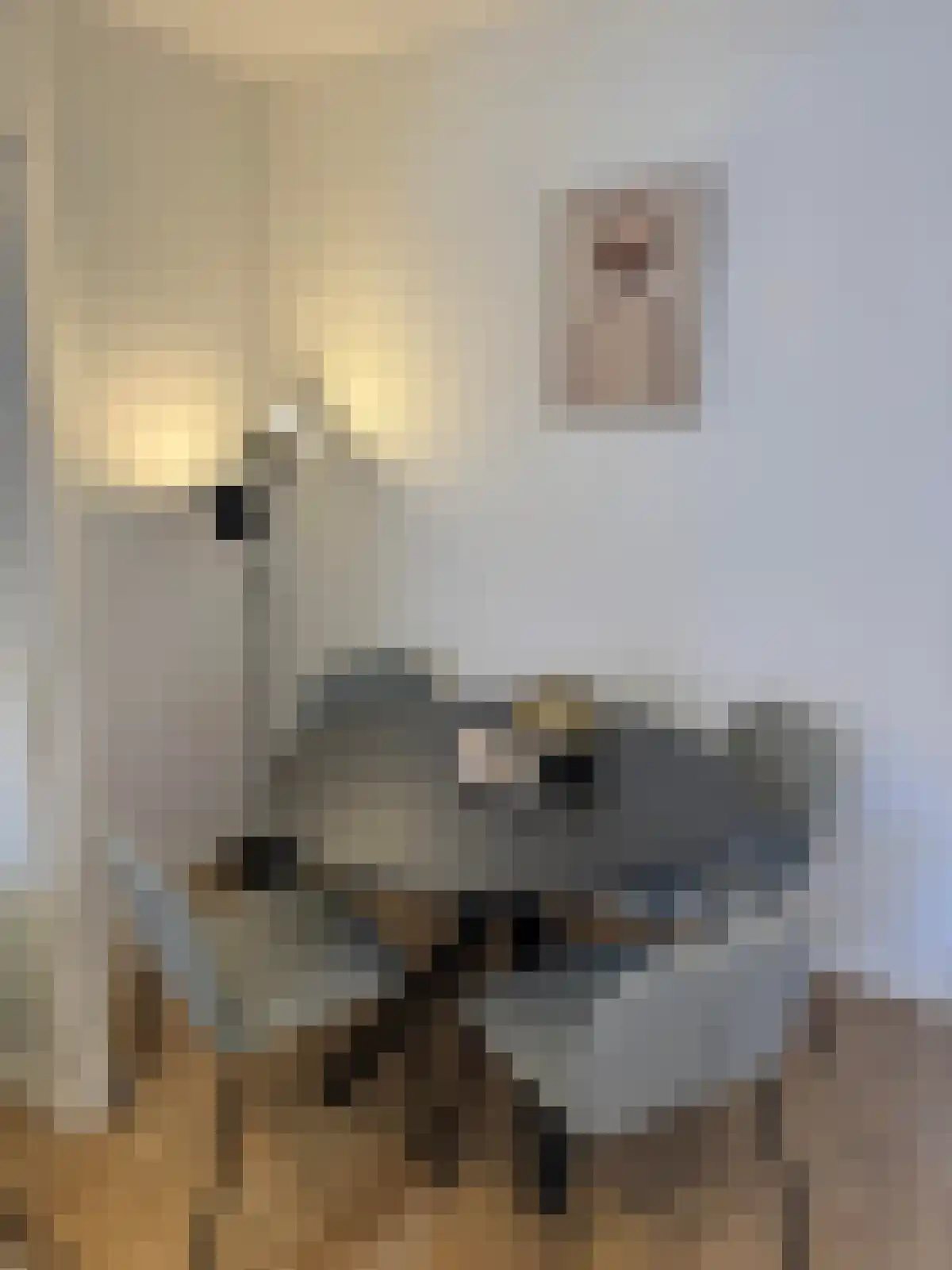Van Zeggelenlaan 281 2 Den Haag thumbnail 6