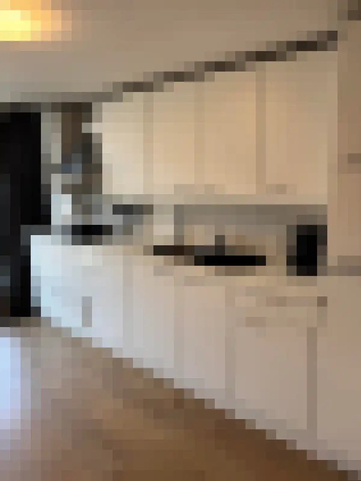 Van Zeggelenlaan 281 Den Haag foto 3