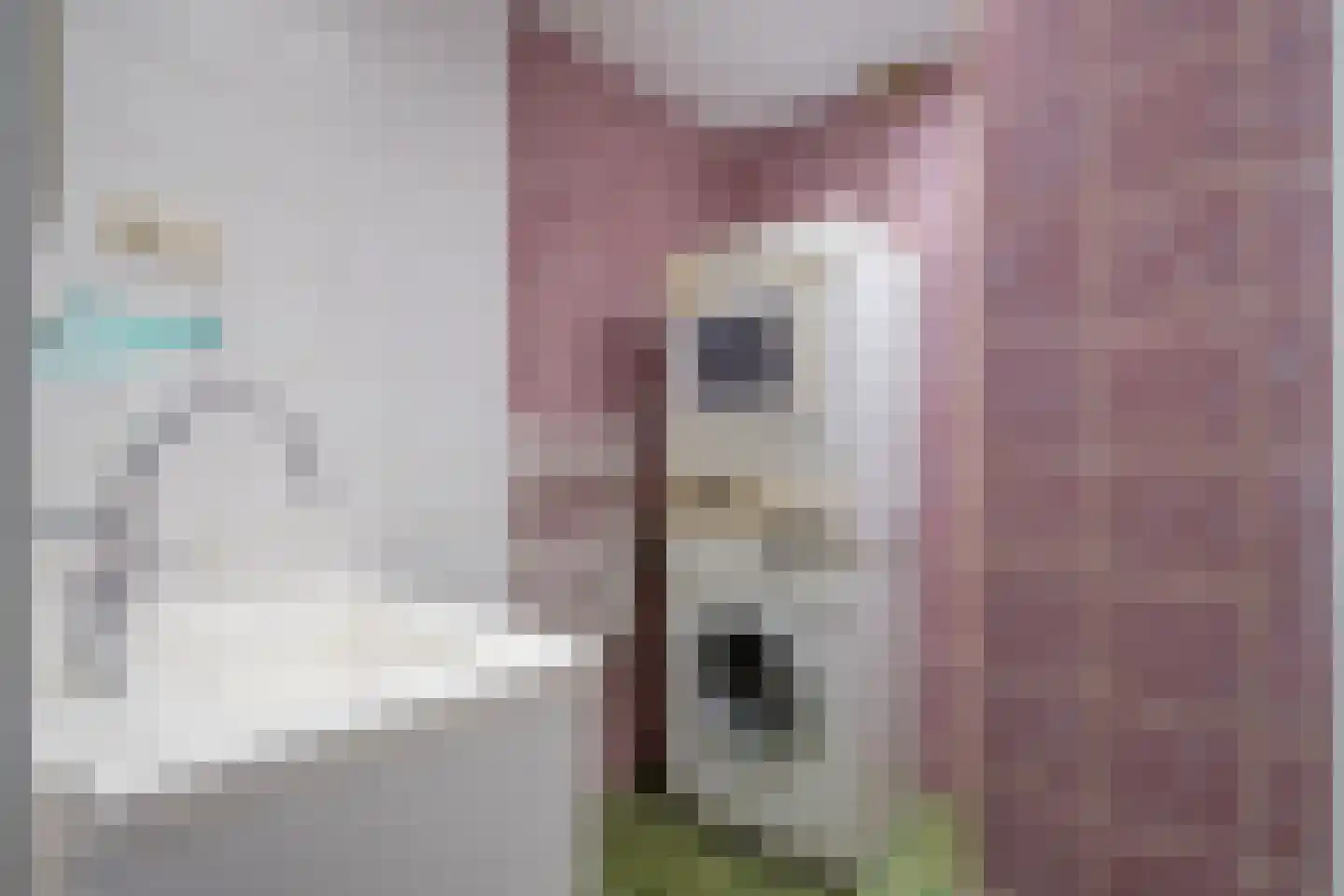 Van Zeggelenlaan 301 Den Haag thumbnail 19