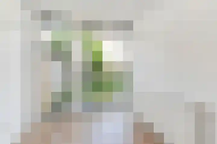 Van Zeggelenlaan 303 Den Haag thumbnail 5