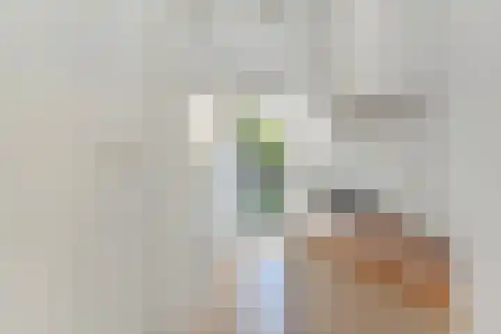 Van Zeggelenlaan 303 Den Haag thumbnail 8
