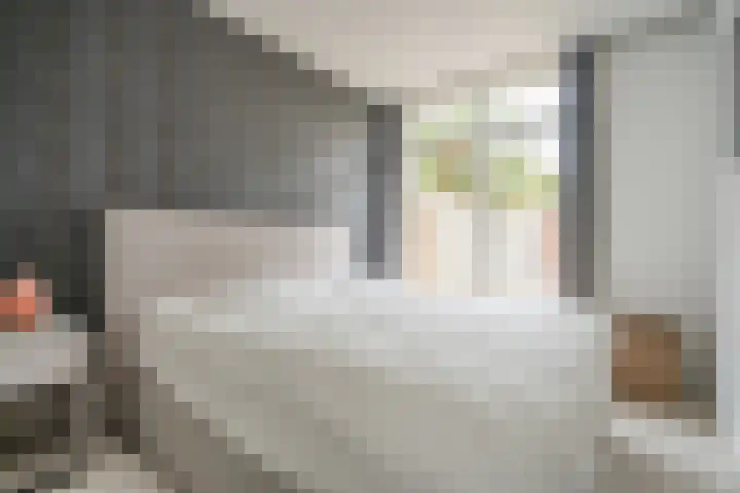 Van Zeggelenlaan 421 Den Haag thumbnail 15