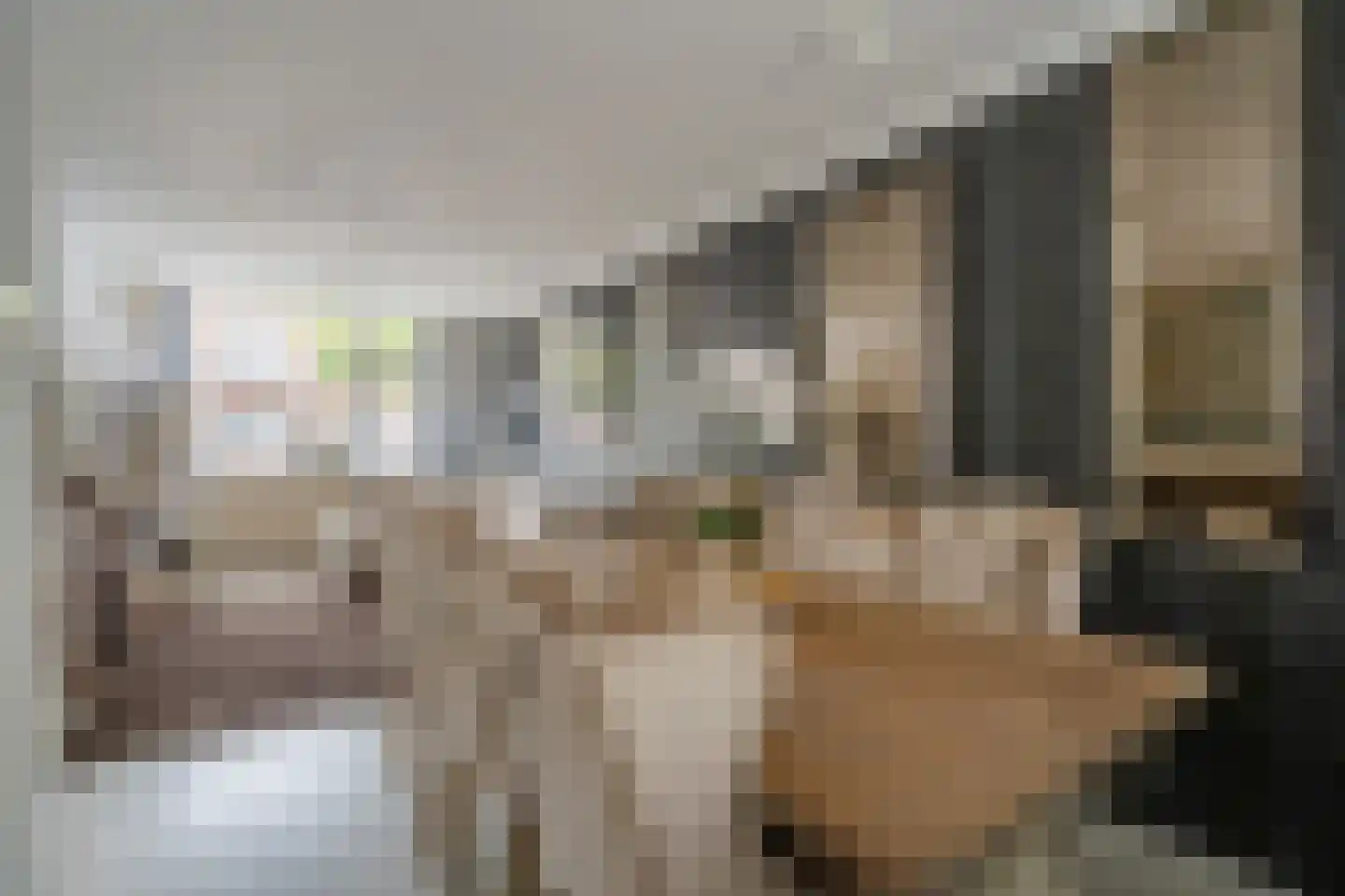Van Zeggelenlaan 421 Den Haag thumbnail 9