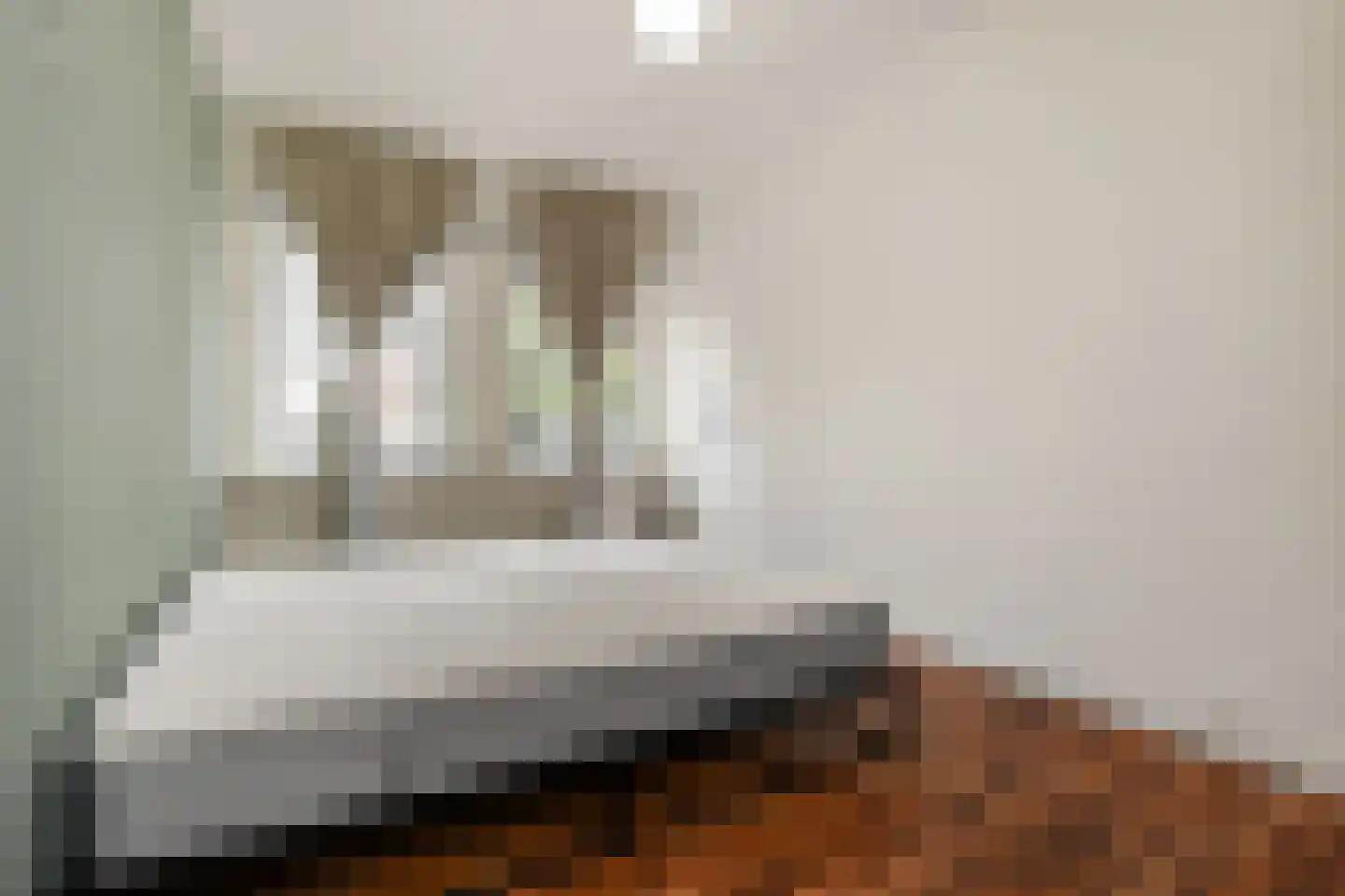 Van Zeggelenlaan 47 Den Haag thumbnail 13