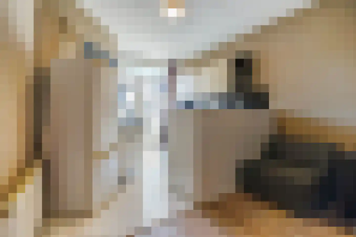 Van Zeggelenlaan 5 Den Haag thumbnail 5